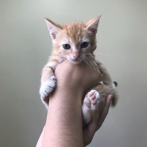 Meet your Posher, Delmy